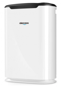 Best Air Purifiers under $200 CAD - Okaysou AirMax 8L Air Purifier for Home - Best Air Purifiers under $200 Canada - Best Air Purifier under 200 Canada - Best Air Purifier under $200 Canada